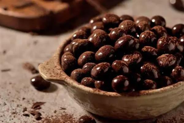 不能给狗狗吃的食物,常见的有巧克力、酒精等