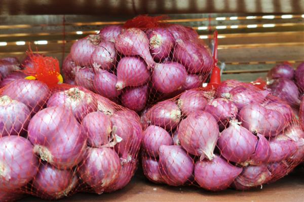 不能给狗狗吃的食物,常见的有巧克力、酒精等
