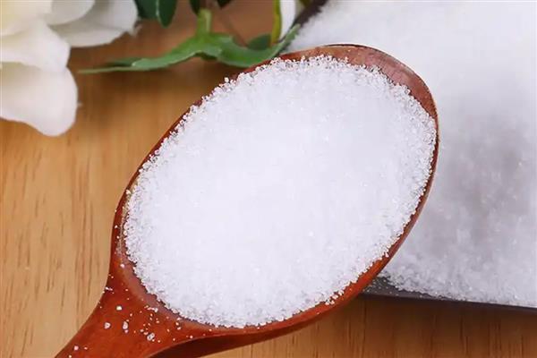 不能给狗狗吃的食物,常见的有巧克力、酒精等