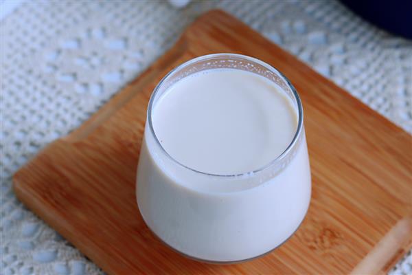 不能给狗狗吃的食物,常见的有巧克力、酒精等