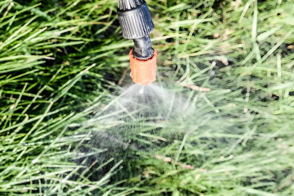 草甘膦如何使用效果好，要在杂草生长旺盛时用药