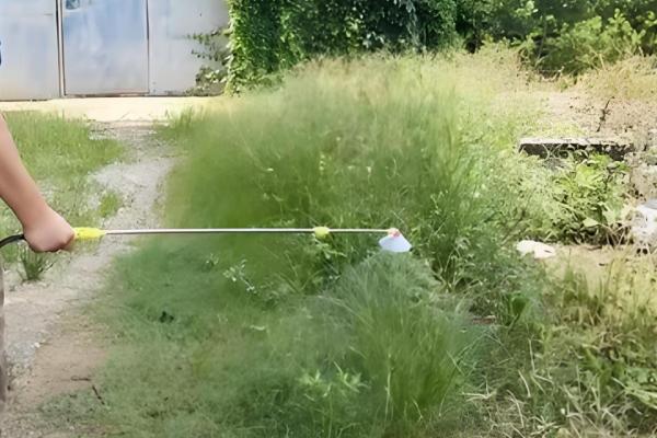 草甘膦如何使用效果好，要在杂草生长旺盛时用药