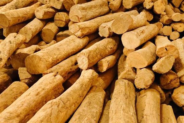 小叶黄杨木如何鉴别,可观察颜色、外皮等