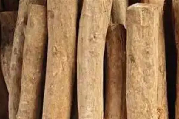 小叶黄杨木如何鉴别,可观察颜色、外皮等