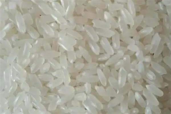 粳米是什么米，粳米即粳稻的种仁