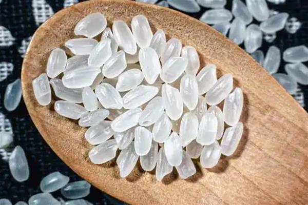 粳米是什么米，粳米即粳稻的种仁