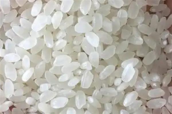 粳米是什么米，粳米即粳稻的种仁