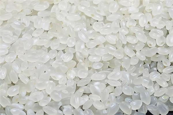 粳米是什么米，粳米即粳稻的种仁