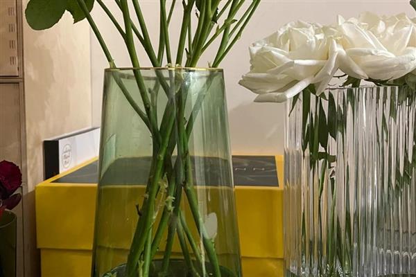 玫瑰花如何养护，每隔半月施加一次稀薄的液肥