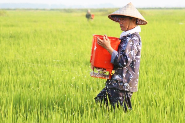 硫酸钾的使用注意事项,在使用的时候一定要远离城镇