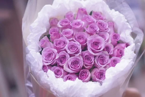 33朵紫色玫瑰的意思,寓意爱你三生三世、浪漫的爱情等