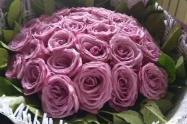 33朵紫色玫瑰的意思,寓意爱你三生三世、浪漫的爱情等