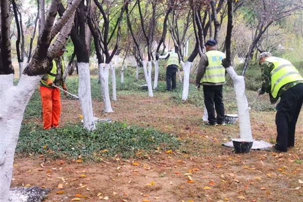 冬季果树涂白剂怎么使用，使用时要将涂白剂搅拌