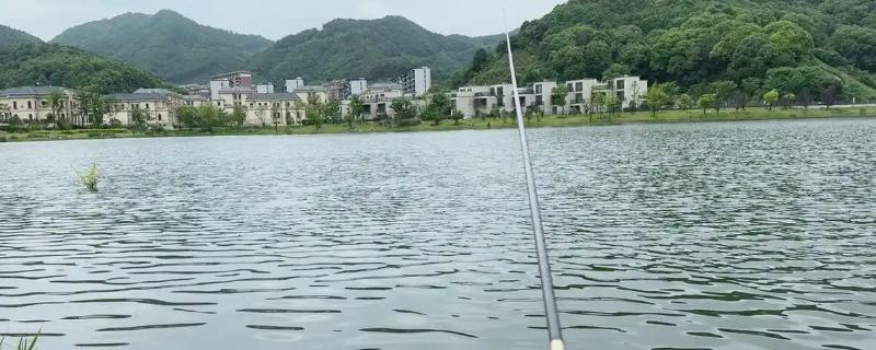 阴天钓鱼的技巧，可用溪流竿、台钓竿等手竿