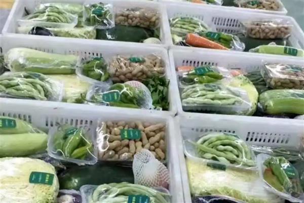 农村创业的新项目，推荐果蔬配送、木材回收等