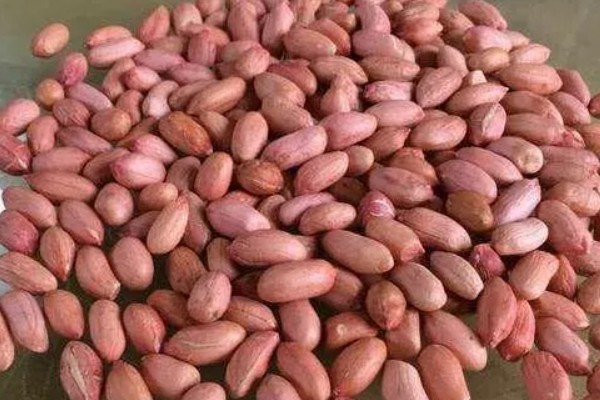 花生播种后腐烂的原因及处理方法，可能是种子质量问题所致