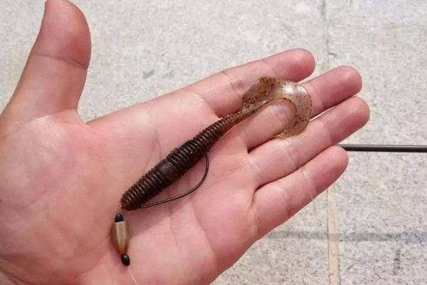 野钓鳜鱼用什么饵料，可以选择自然饵料或路亚拟饵