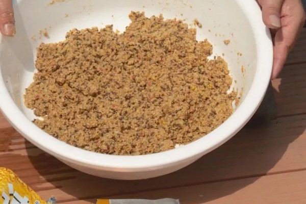 钓黄鱼用什么饵，黄鱼爱吃活饵