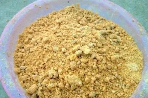 钓黄鱼用什么饵，黄鱼爱吃活饵