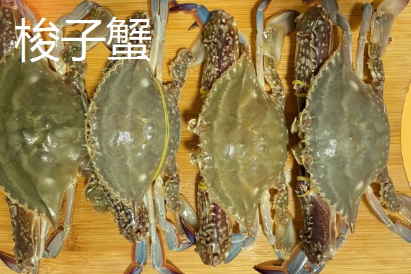 海里有什么螃蟹，包括梭子蟹、青蟹、蛙蟹等品种