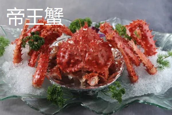 海里有什么螃蟹，包括梭子蟹、青蟹、蛙蟹等品种