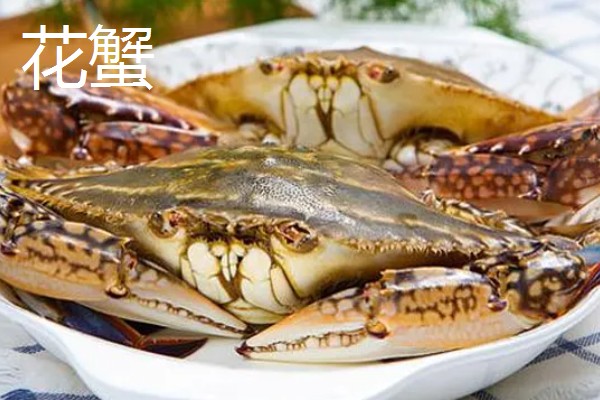 海里有什么螃蟹，包括梭子蟹、青蟹、蛙蟹等品种