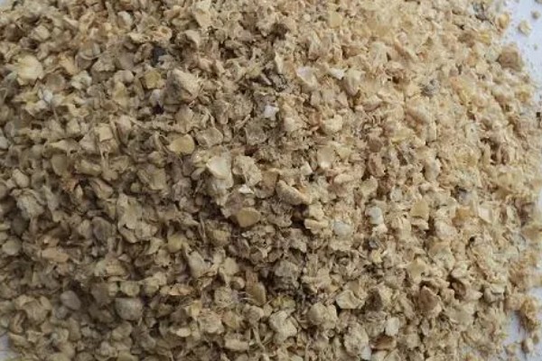 金针菇的产地，主要分布于中国、日本、俄罗斯等地