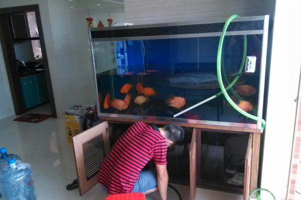 新买的锦鲤跳缸如何处理,对鱼缸加盖可以阻止它们跳出去