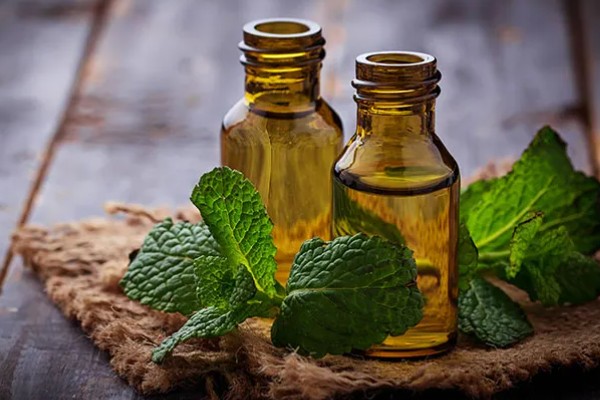 薄荷油的价格，一般为65元一斤