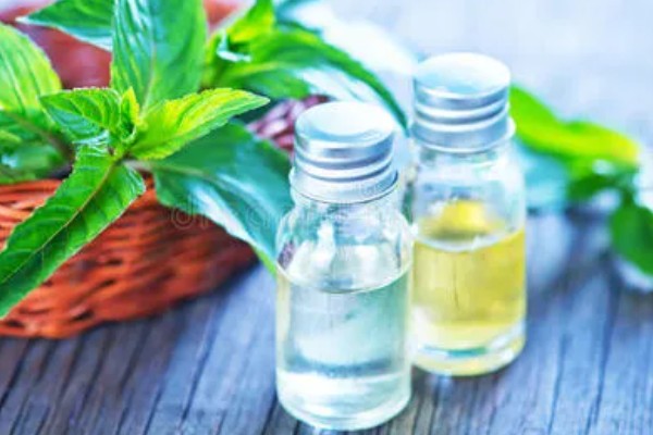 薄荷油的价格，一般为65元一斤