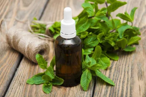 薄荷油的价格，一般为65元一斤