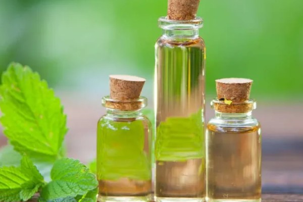 薄荷油的价格，一般为65元一斤