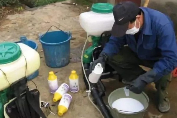 甲维虫螨腈的适用对象，可对辣椒、小麦等作物使用