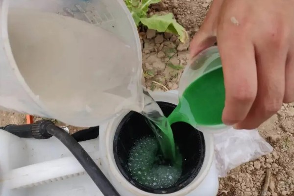 甲维虫螨腈的适用对象，可对辣椒、小麦等作物使用