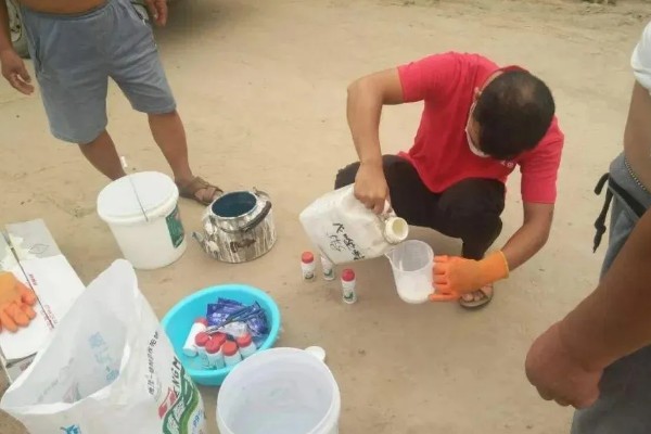 甲维虫螨腈的适用对象，可对辣椒、小麦等作物使用