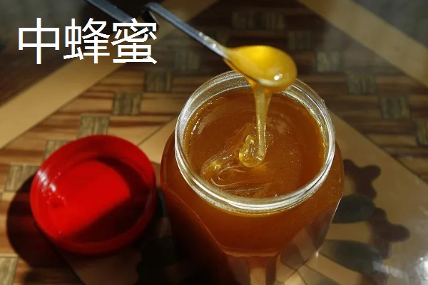 意蜂蜜还是中蜂蜜更好，中蜂蜜的营养含量可能稍胜一筹
