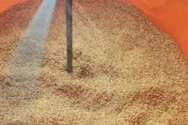 水稻的亩产量，高产田能达到1000-1200斤左右