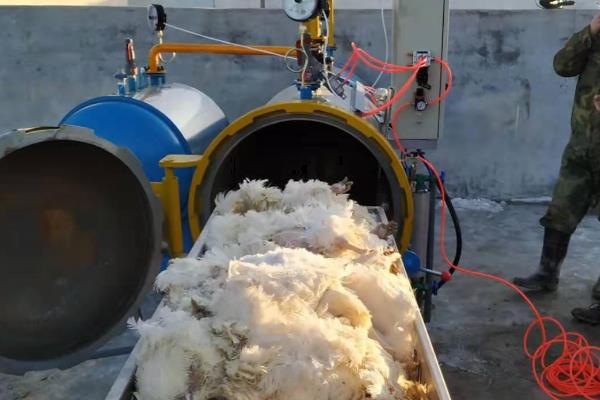 病死动物的无害化处理方法,可以用掩埋法、焚烧法等