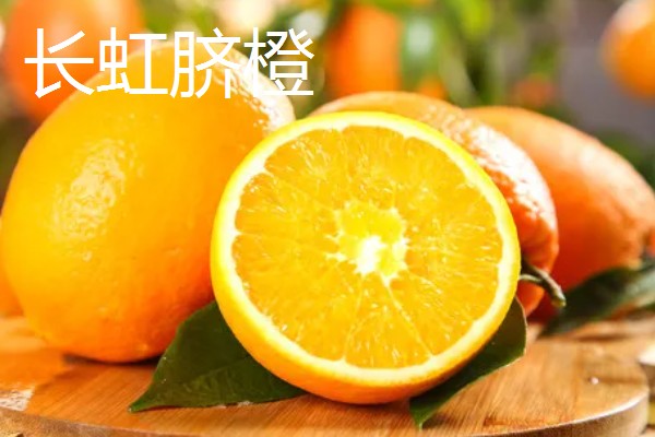 纽荷尔脐橙苗种植几年挂果，三年开始挂果