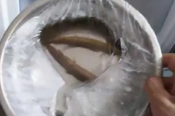 泥鳅的保存方法，用保鲜袋装好放入冰箱中冷藏