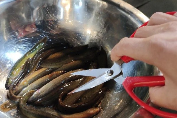 泥鳅的保存方法，用保鲜袋装好放入冰箱中冷藏