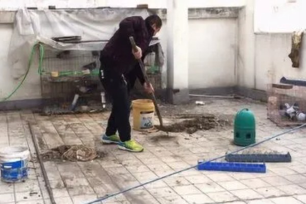 养鸽子的成本和利润，10对肉鸽的引种成本大约为200元