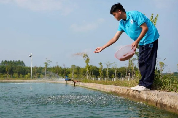 怎么养殖泥鳅，放苗的最佳时间为5月中期