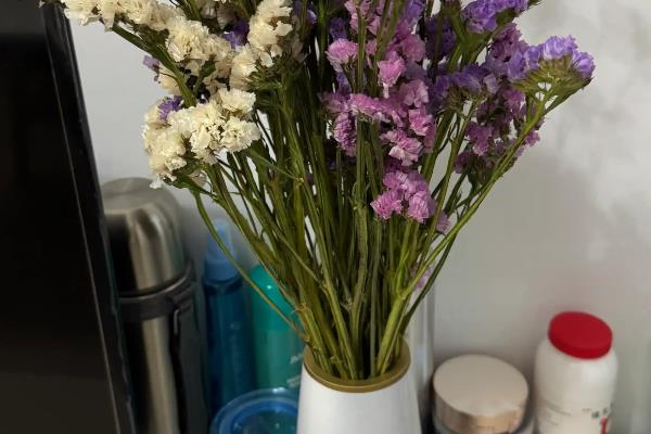 新鲜勿忘我如何干养，选择透明的容器插瓶