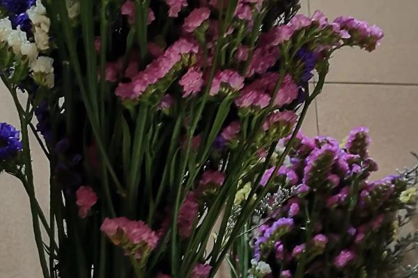 新鲜勿忘我如何干养，选择透明的容器插瓶