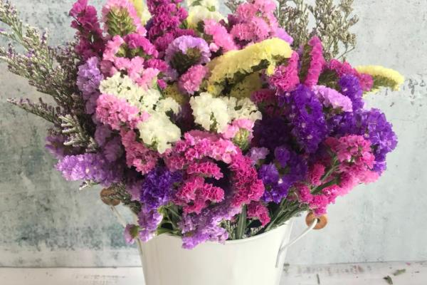 新鲜勿忘我如何干养，选择透明的容器插瓶