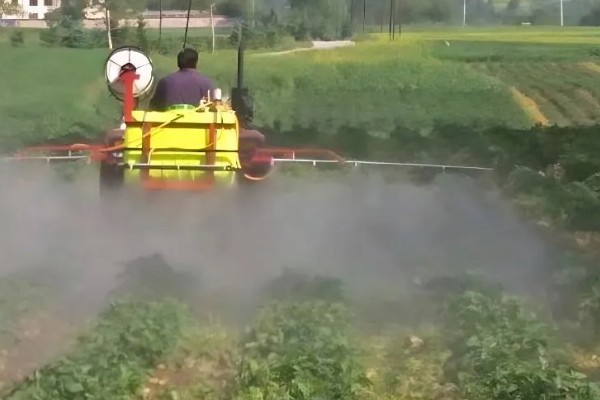 马铃薯为什么产量低,可能是种薯质量差、施肥不当等因素所致