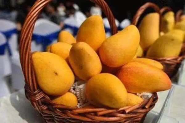 芒果怎么保存，可常温保存或冰箱保存