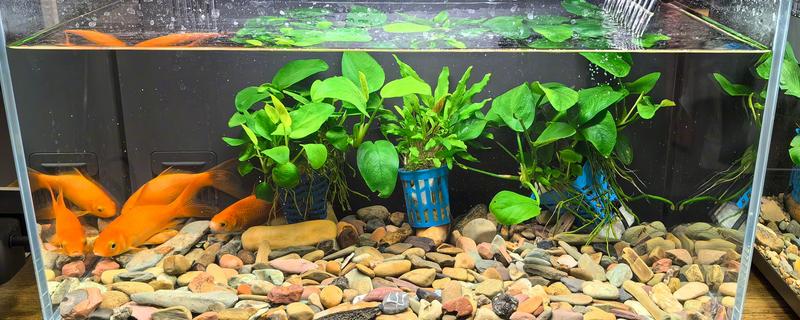 让鱼缸下水管静音的方法，可以改小或加长管子