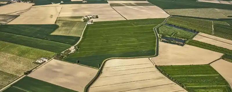 基本农田的含义，属于不得占用的耕地